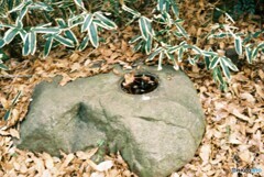 20200211_YASIKAE35_FUJIFILM200C (11)