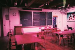 20200331_LC-A_Purple (35)