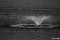 9000D_20200501 (19)