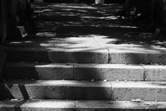 9000D_20200430 (16)