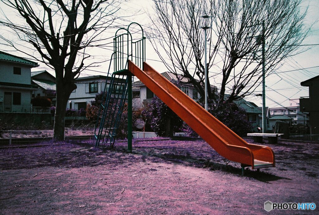 20200407_lomo_La-c+_2019LomochromePurple