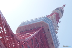 CANON9000D_EF50mm1,8F (19)