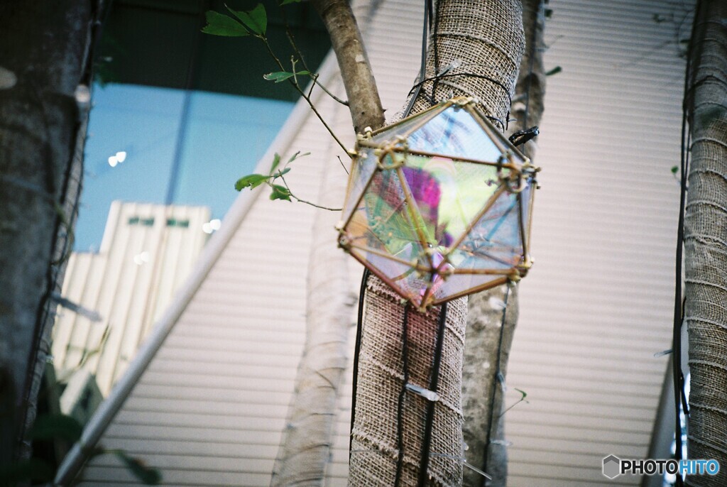 LC-A_20200216 (8)