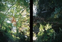 20191116_Olympus Pen EE-3_FUJIFILM200C_ 