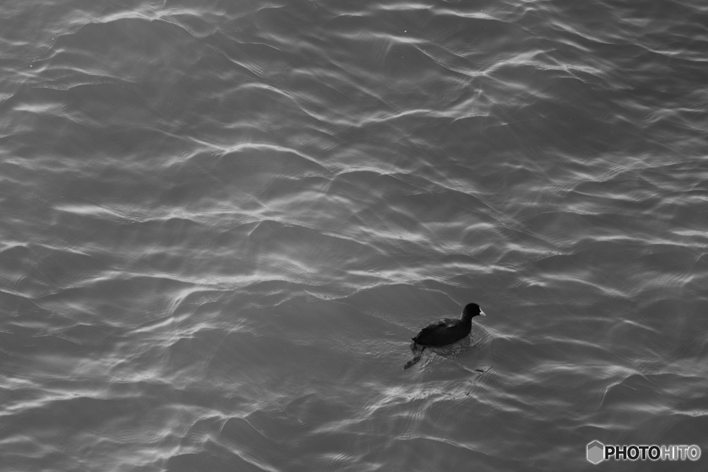 9000D_20200501 (16)