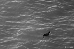 9000D_20200501 (16)