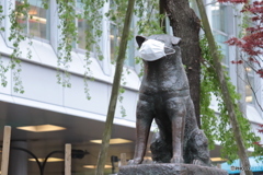 CANON9000D_EF55-250mm (9)