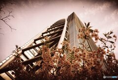 20200320LC-A_metropolis_linedown (10)