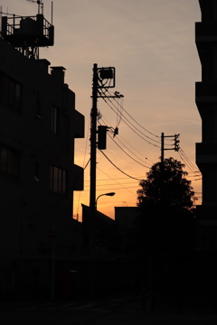 9000D_20200519 (38)