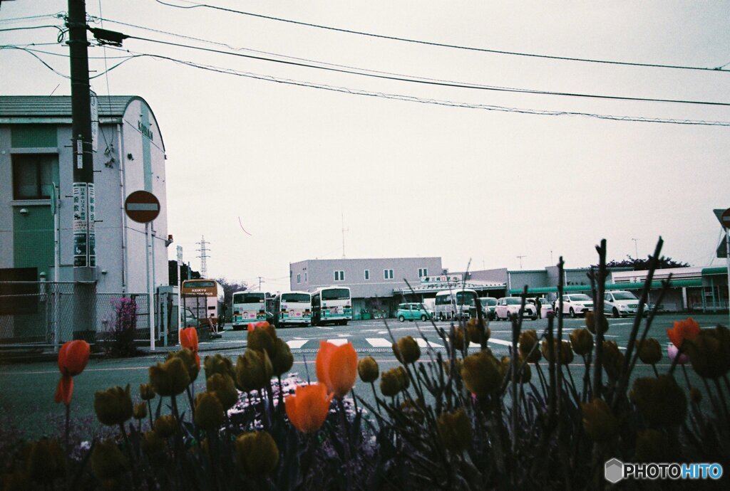 20200407_lomo_La-c+_2019LomochromePurple