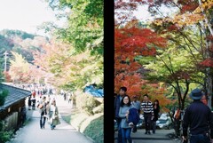 20191116_Olympus Pen EE-3_FUJIFILM200C_ 