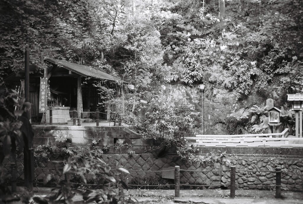 20200426_0502__CANON F-1_ACROS100 II (36
