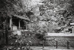 20200426_0502__CANON F-1_ACROS100 II (36