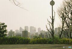 20200322_CANON F-1_フジカラー PRO400H (25)