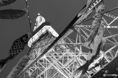 9000D_20200426 (41)