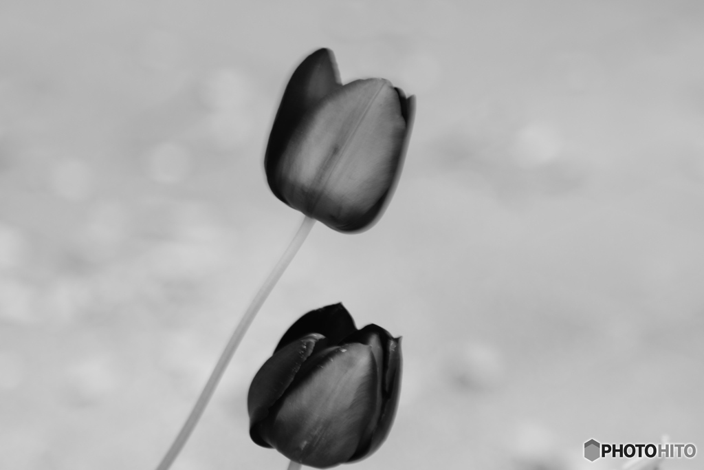 9000D_20200426 (30)