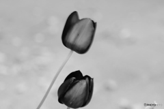 9000D_20200426 (30)
