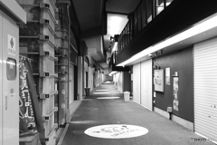 ホームステイ