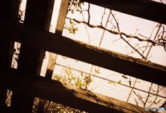 20200320LC-A_metropolis_linedown (7)