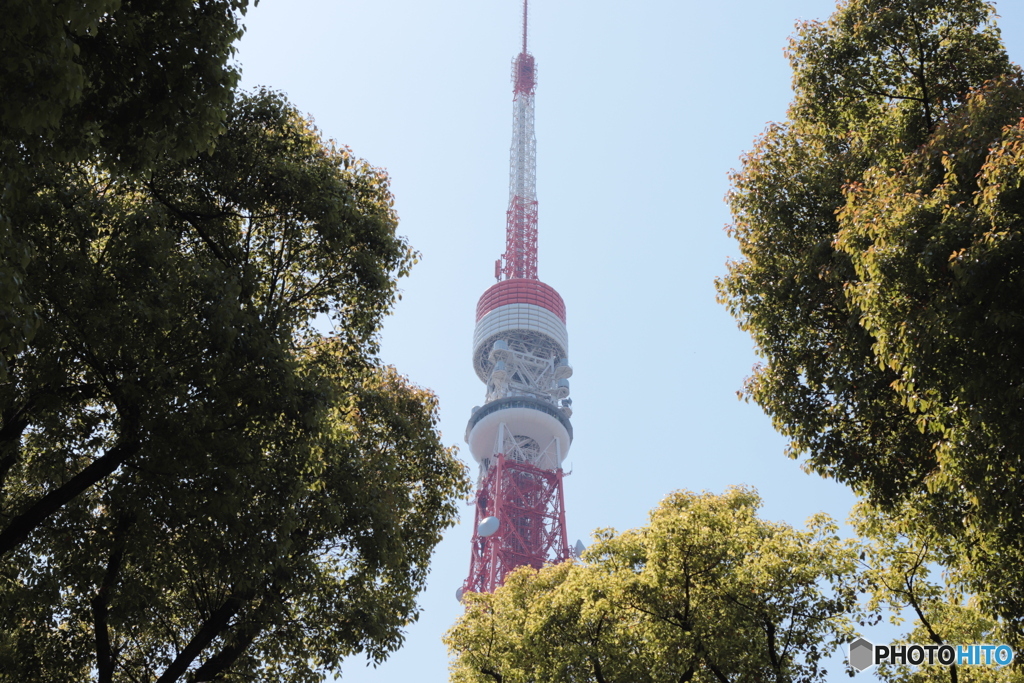 CANON9000D_EF50mm1,8F (8)