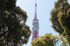 CANON9000D_EF50mm1,8F (8)