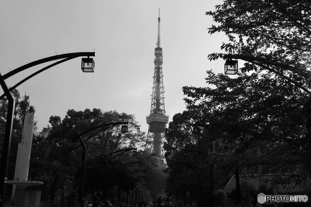 9000D_20200426 (15)