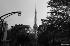 9000D_20200426 (15)