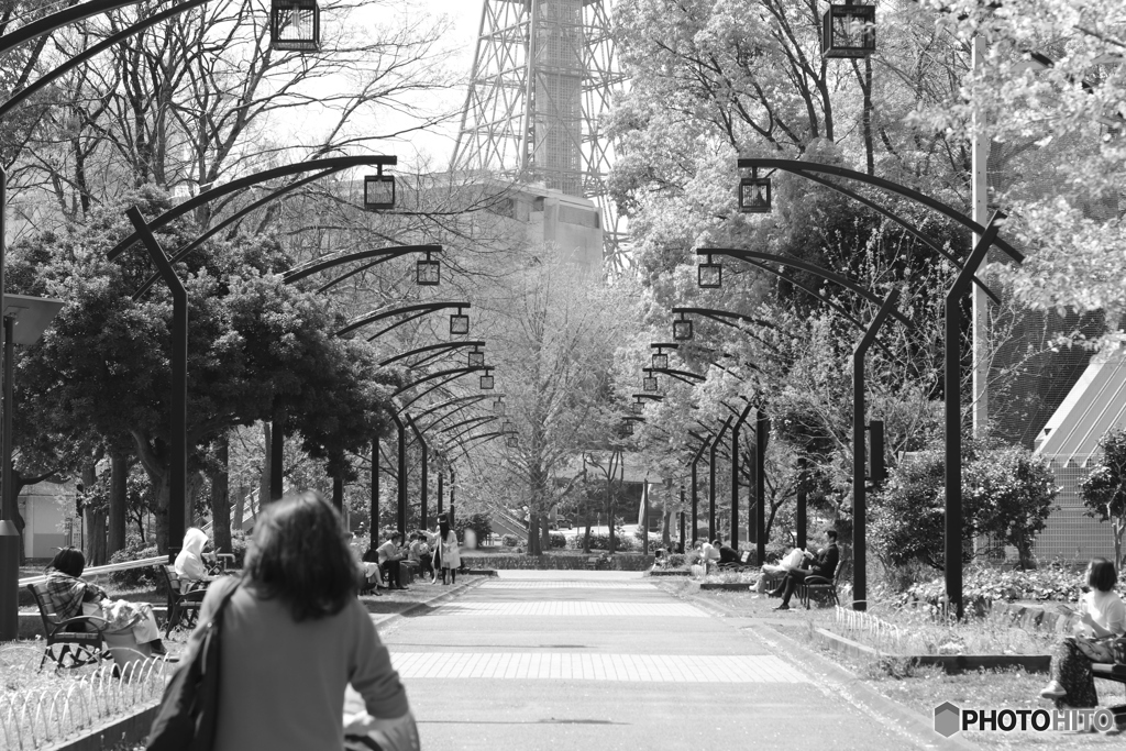 CANON9000D_EF50mm1,8F (2)