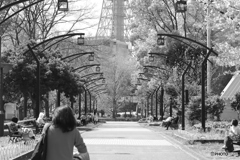 CANON9000D_EF50mm1,8F (2)