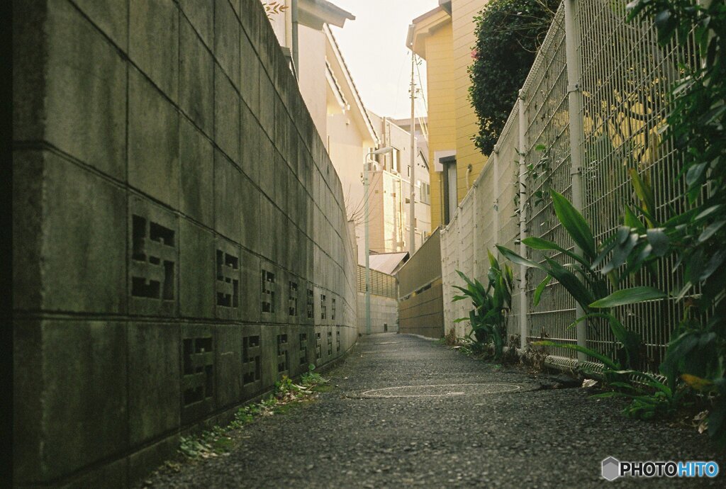 20200322_CANON F-1_フジカラー PRO400H (6)
