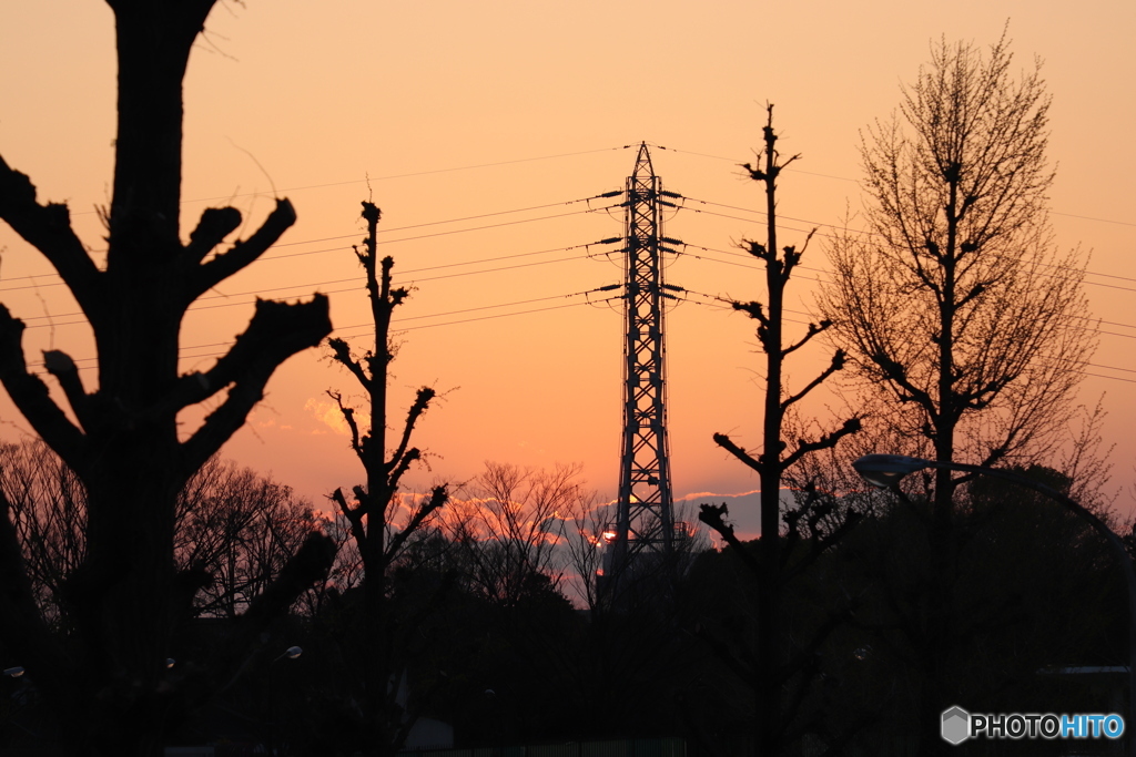 20200404_canon900D_目黒川 (228)