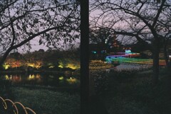 20191116_Olympus Pen EE-3_FUJIFILM200C_ 