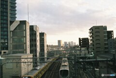 20200211_YASIKAE35_FUJIFILM200C (21)