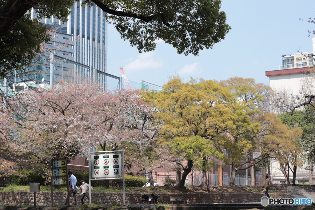 CANON9000D_EF50mm1,8F (9)