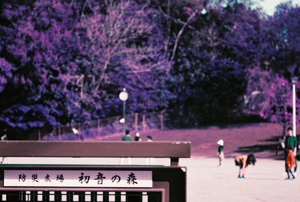 20200412_0426_CANON F-1_2019LomochromePu