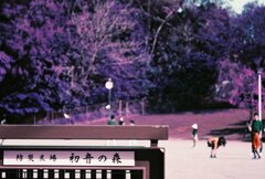 20200412_0426_CANON F-1_2019LomochromePu