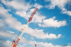 20200211_YASIKAE35_FUJIFILM200C (19)