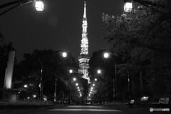 胃腸の木道り