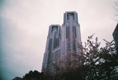 20200331_LC-A_Purple (8)