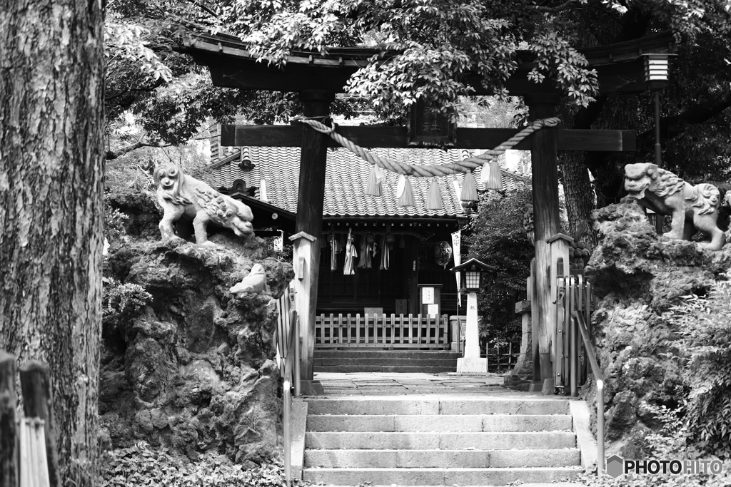 9000D_20200430 (7)