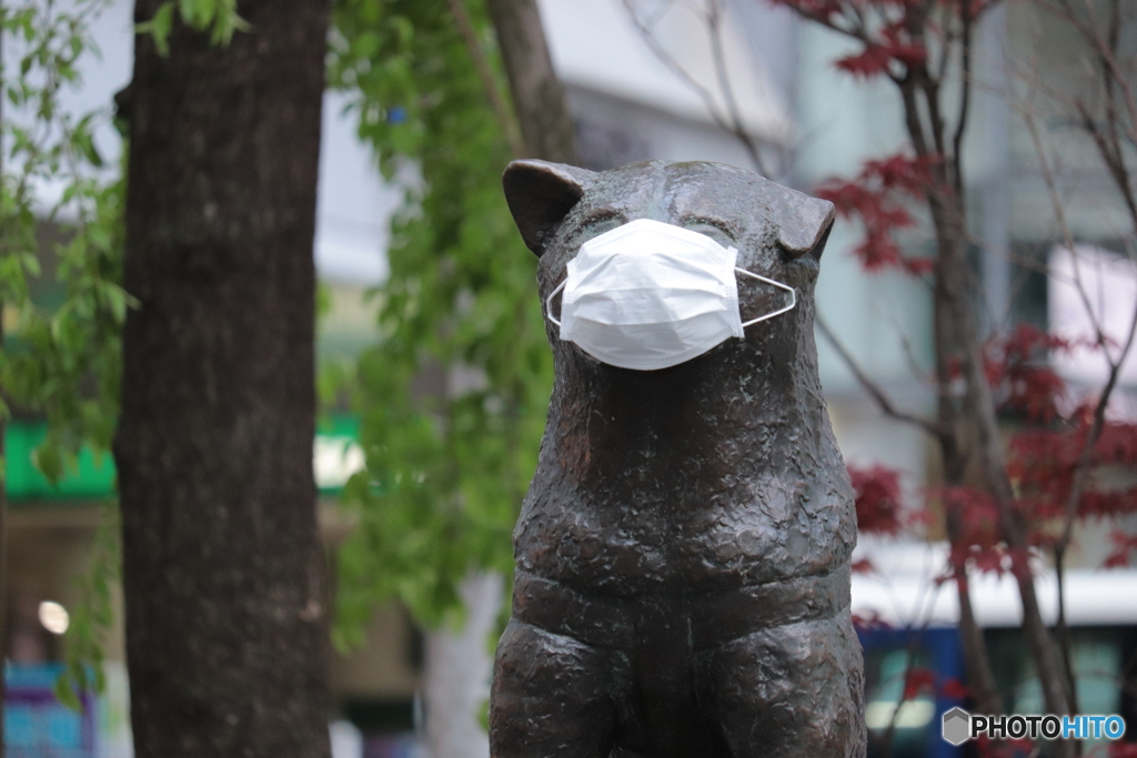 CANON9000D_EF55-250mm (7)