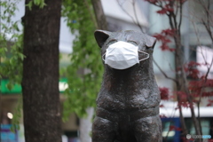 CANON9000D_EF55-250mm (7)