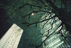 20200119_Canon_F-1_FUJIFILM200C_露出計未使用 (