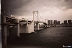 20200320LC-A_metropolis_linedown (28)