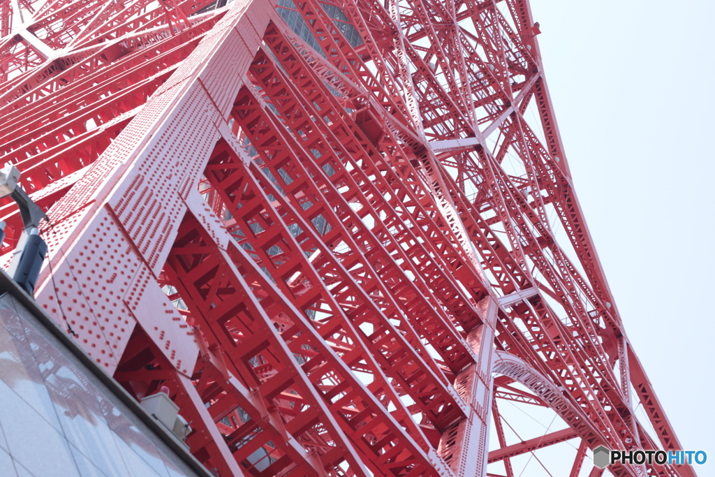 CANON9000D_EF50mm1,8F (17)