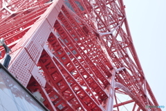 CANON9000D_EF50mm1,8F (17)