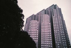 20200331_LC-A_Purple (6)