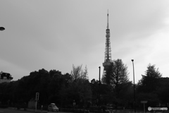 9000D_20200426 (11)