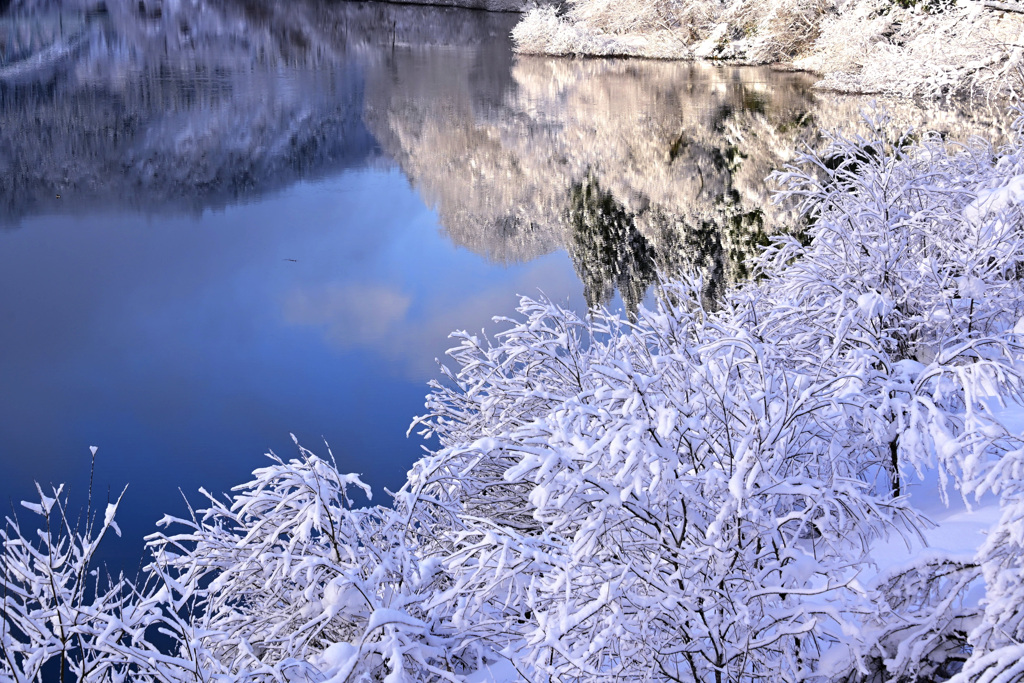 雪色の光白く２