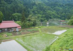 里山